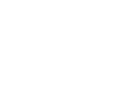 logo lynn blanco